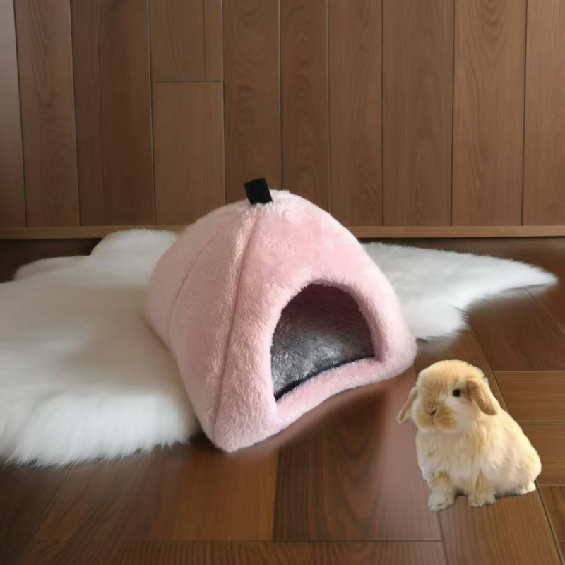 Hamsteri pesakodu juustu kujul, minimalistlik sisekeskkonna elamu, hoiab sooja