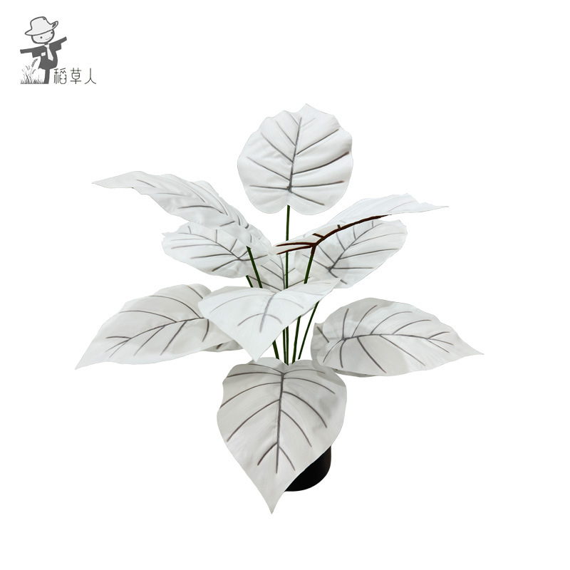 Sünteetilised rohelised taimed seinale dekoratsioonide jaoks – igihaljad dekoratiivtaimed kodu jaoks; materjalid: plastik, EVA, pehme PVC; käsitöö: käsitöö, simulatsioon, süstimise vormimine