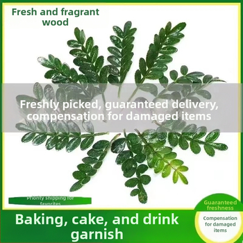 Söödavad lehed kookide kaunistamiseks — lõhnav puidust taim potis, Pepper Wood, tootekood 33699