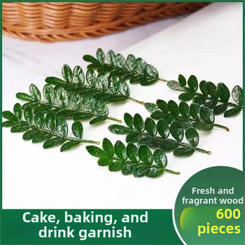 Söödavad lehed kookide kaunistamiseks — lõhnav puidust taim potis, Pepper Wood, tootekood 33699