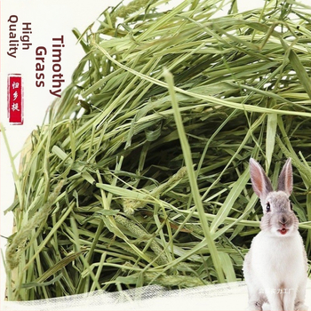 Džiovinta Timotijos žolė triušiams ir žiurkėnams – naminių gyvūnėlių maistas