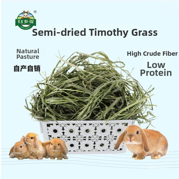 Džiovinta Timotijos žolė triušiams ir žiurkėnams – naminių gyvūnėlių maistas