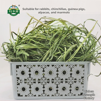 Džiovinta Timotijos žolė triušiams ir žiurkėnams – naminių gyvūnėlių maistas