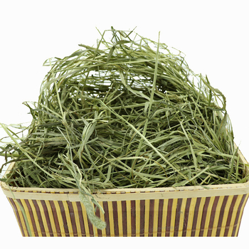 Džiovinta Timotijos žolė triušiams ir žiurkėnams – naminių gyvūnėlių maistas