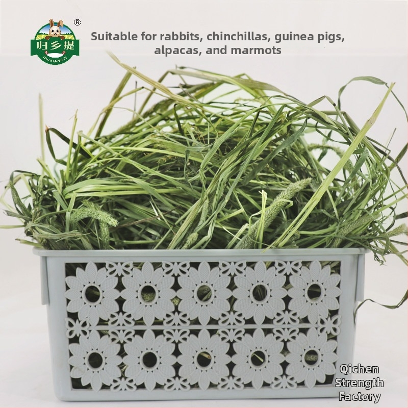 Žāvēta timotijas zāle trušiem un cūciņām – mājdzīvnieku barība