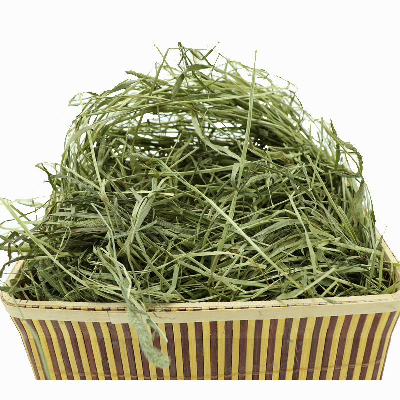 Džiovinta Timotijos žolė triušiams ir žiurkėnams – naminių gyvūnėlių maistas