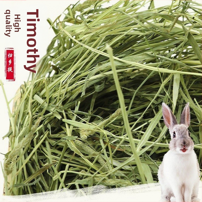 Džiovinta Timotijos žolė triušiams ir žiurkėnams – naminių gyvūnėlių maistas