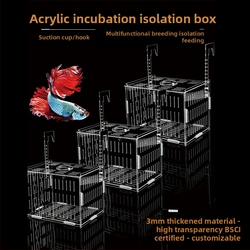 Akrilinė akvariumo inkubavimo dėžė – daugiafunkcinė, izoliuotos jaunosios žuvelės ir krevetės, surinkta