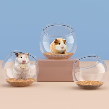 Plastična prozirna kutija za hrčke – jednostavno za čišćenje, prijenosna kutija za uzgoj hrčaka