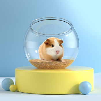 Plastična prozirna kutija za hrčke – jednostavno za čišćenje, prijenosna kutija za uzgoj hrčaka