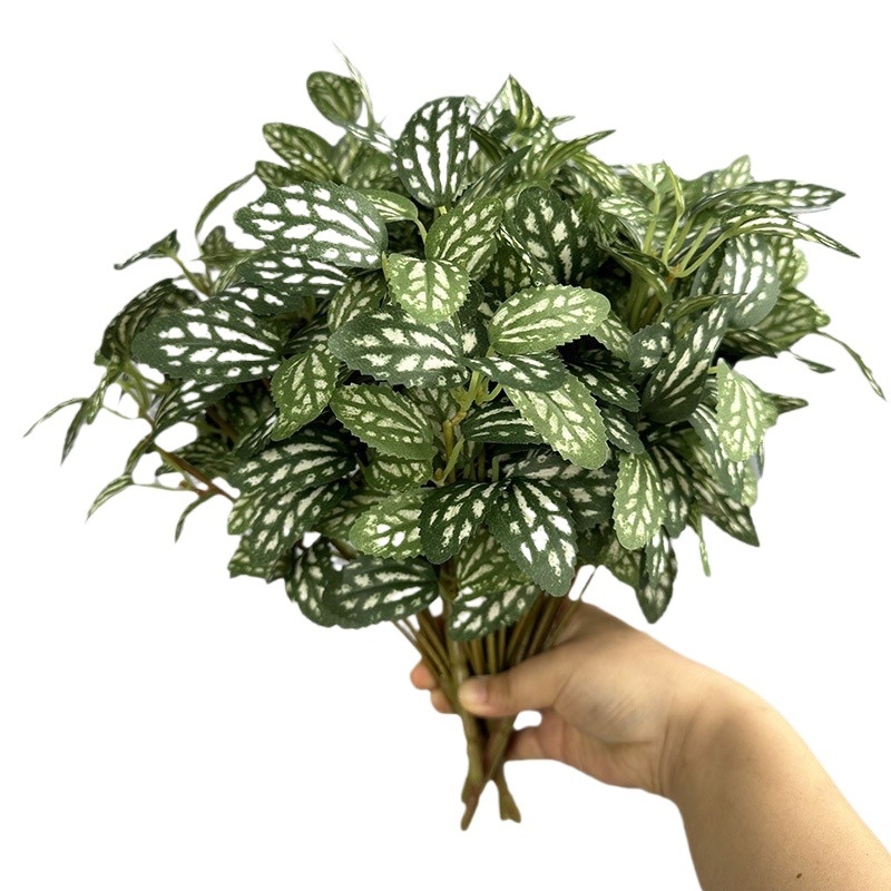 Τεχνητό φύλλο pothos για διακόσμηση τοίχου; Υλικό: μεταξωτό φυτό; Μάρκα: Flower king; Ποικιλία: 105405092; Τέχνη: στιλιζάρισμα, ανάγλυφο, έγχυση, 3D εκτύπωση; Χρήση: γάμος, εξωτερικός χώρος, αξεσουάρ φωτογράφισης, οικιακή διακόσμηση