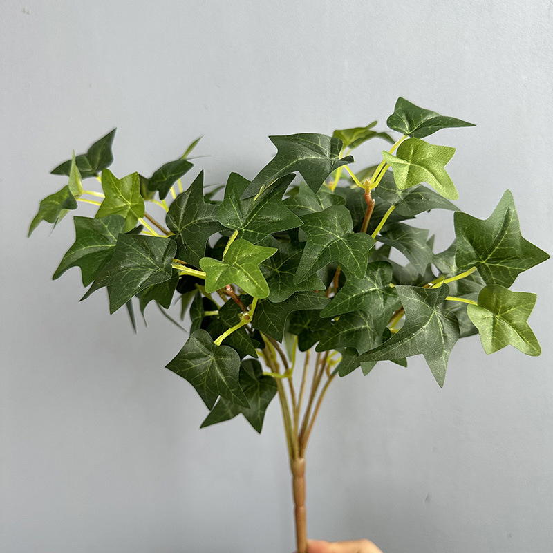 Τεχνητό φύλλο pothos για διακόσμηση τοίχου; Υλικό: μεταξωτό φυτό; Μάρκα: Flower king; Ποικιλία: 105405092; Τέχνη: στιλιζάρισμα, ανάγλυφο, έγχυση, 3D εκτύπωση; Χρήση: γάμος, εξωτερικός χώρος, αξεσουάρ φωτογράφισης, οικιακή διακόσμηση