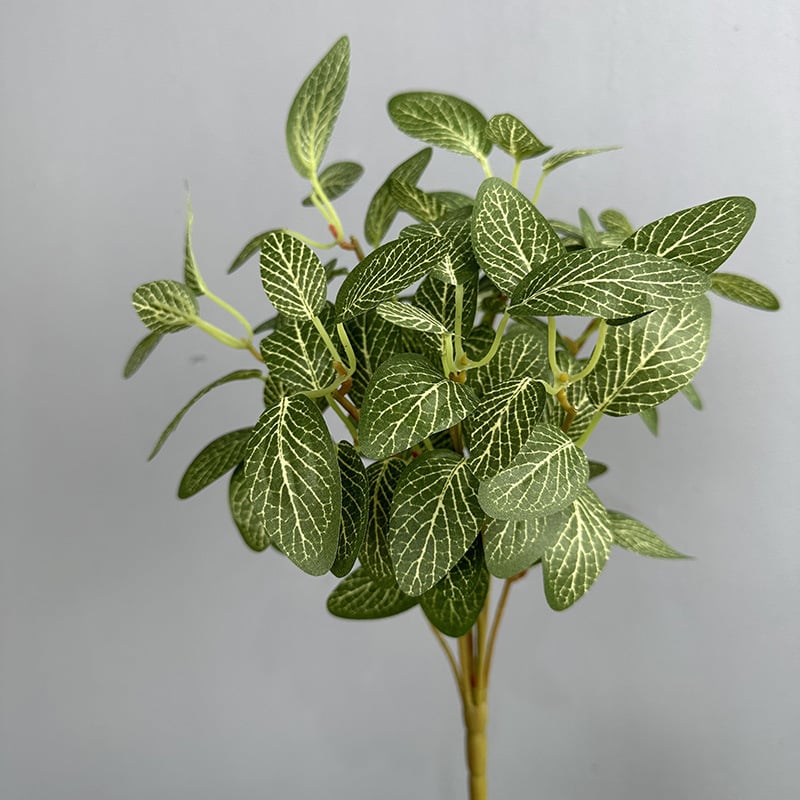 Τεχνητό φύλλο pothos για διακόσμηση τοίχου; Υλικό: μεταξωτό φυτό; Μάρκα: Flower king; Ποικιλία: 105405092; Τέχνη: στιλιζάρισμα, ανάγλυφο, έγχυση, 3D εκτύπωση; Χρήση: γάμος, εξωτερικός χώρος, αξεσουάρ φωτογράφισης, οικιακή διακόσμηση