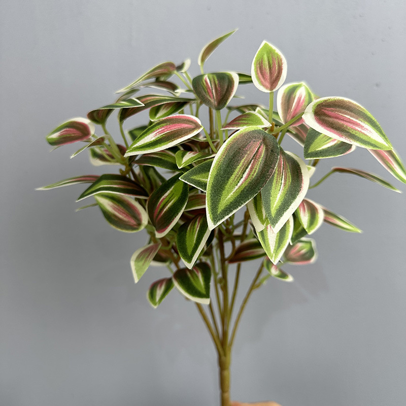 Τεχνητό φύλλο pothos για διακόσμηση τοίχου; Υλικό: μεταξωτό φυτό; Μάρκα: Flower king; Ποικιλία: 105405092; Τέχνη: στιλιζάρισμα, ανάγλυφο, έγχυση, 3D εκτύπωση; Χρήση: γάμος, εξωτερικός χώρος, αξεσουάρ φωτογράφισης, οικιακή διακόσμηση