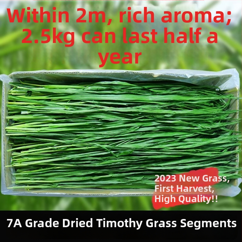 Džiovinta Timothy žolė mažiems augintiniams – jaunosios stadijos laikotarpis