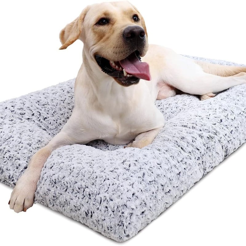 Koera pesakodu – pestav kangas, lihtne paigaldus