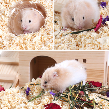 Puidujäätmetest aluspõhjapõhj maziem loomadele – bränd Happy Parrot; sobib hamsteritele, jänestele, chinchilladele ja teistele väikestele loomadele