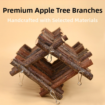 Hamsterio obuolmedžio šakelė kopimui su laiptais – žaislas Sirijos hamsteriui