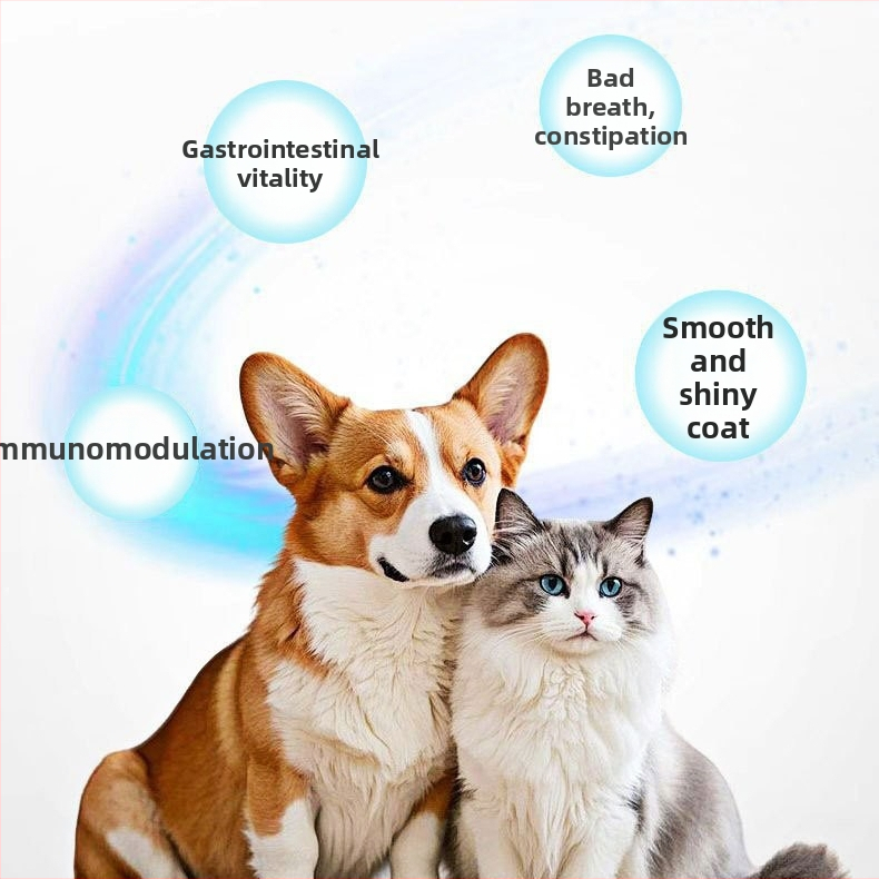 Dzīvnieku veselības uztura bagātinātāji: multivitamīnu tabletes ar probiotikām kaķiem, suņiem, mazajiem mājdzīvniekiem un čūskām; hairball kontrole; iepakojums 200 gab