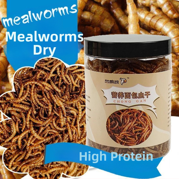 Hamsteri toit kuivatatud vastsete seguga — Kaubamärk Happy Parrot, Tootekood 123, Sobib hamsteritele ja väikestele lindudele