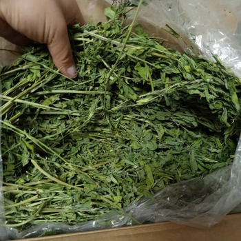 Džiovinta lucerna maistas triušiams, činčiloms ir guinea sigaile – 750 g