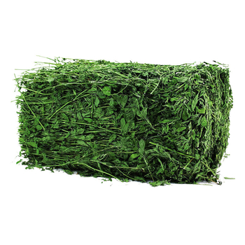 Džiovinta lucerna maistas triušiams, činčiloms ir guinea sigaile – 750 g