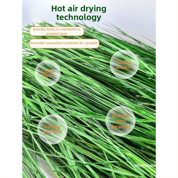 Džiovinta sausa pašara jauniems triušiams – Timothy šienas, 500 g, TZ6RSXHS | Naminių gyvūnų maistas