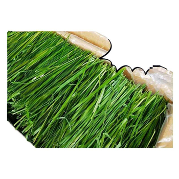 Džiovinta sausa pašara jauniems triušiams – Timothy šienas, 500 g, TZ6RSXHS | Naminių gyvūnų maistas