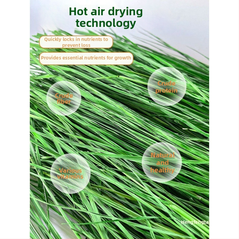 Džiovinta sausa pašara jauniems triušiams – Timothy šienas, 500 g, TZ6RSXHS | Naminių gyvūnų maistas