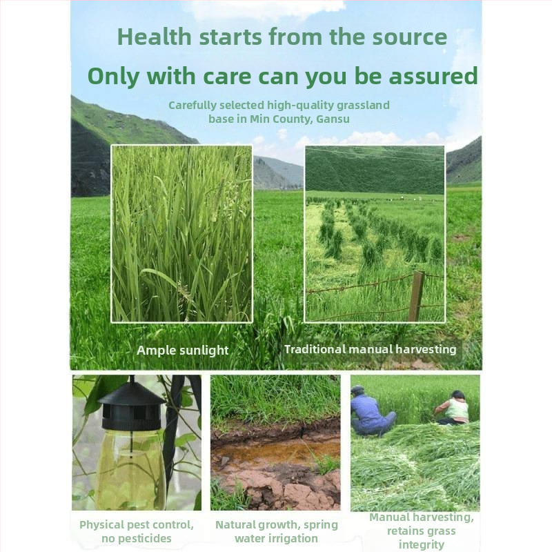 Sausa barība jauniem trušiem – Timothy siens, 500 g, TZ6RSXHS | Mājdzīvnieku barība