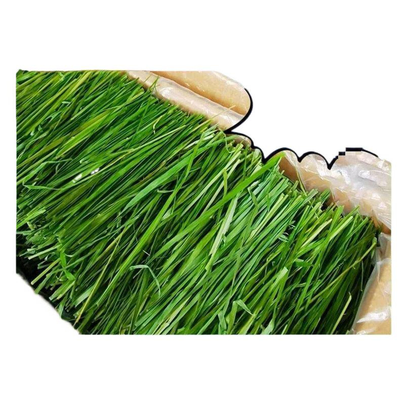 Džiovinta sausa pašara jauniems triušiams – Timothy šienas, 500 g, TZ6RSXHS | Naminių gyvūnų maistas