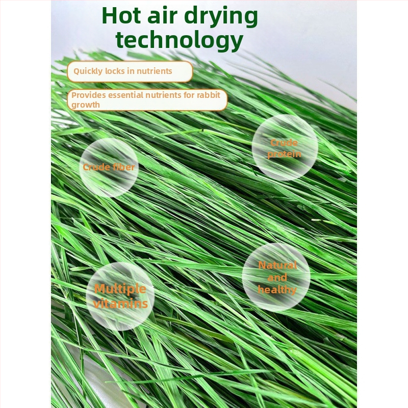 Džiovinta sausa pašara jauniems triušiams – Timothy šienas, 500 g, TZ6RSXHS | Naminių gyvūnų maistas