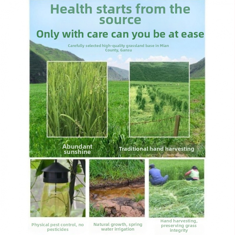 Džiovinta sausa pašara jauniems triušiams – Timothy šienas, 500 g, TZ6RSXHS | Naminių gyvūnų maistas