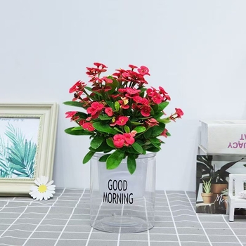 Офисно стайно растение в саксия - Tiger Thorn с стар ствол, китайски стил, модерна простота (нормална температура, неутрално осветление, неутрална влажност)