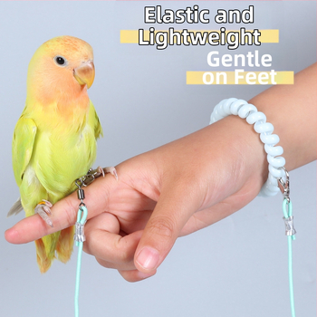 Elastsest nöör papagoi treenimiseks – ülilõhke, jalanähtusest vaba disain; kaubamärk Happy Pet Paradise; sobib papagoidele ja teistele dekoratiivsetele lindudele