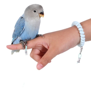 Elastsest nöör papagoi treenimiseks – ülilõhke, jalanähtusest vaba disain; kaubamärk Happy Pet Paradise; sobib papagoidele ja teistele dekoratiivsetele lindudele