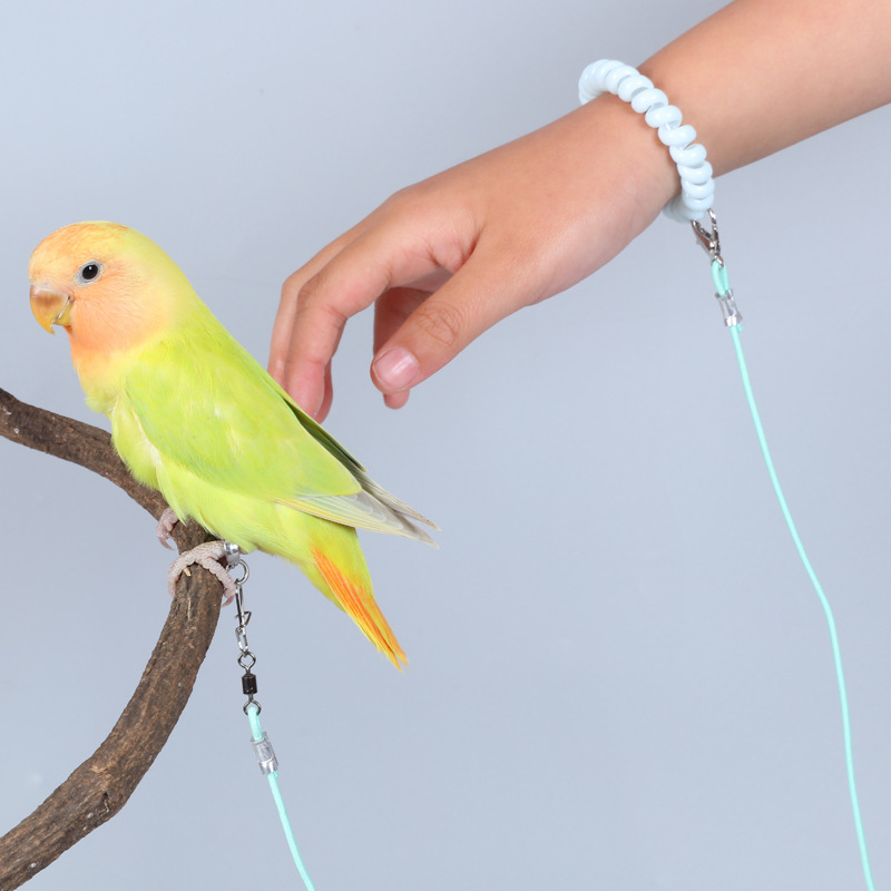 Elastsest nöör papagoi treenimiseks – ülilõhke, jalanähtusest vaba disain; kaubamärk Happy Pet Paradise; sobib papagoidele ja teistele dekoratiivsetele lindudele