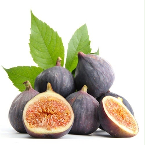 Boji Red négy évszakos fügefa-palánta, cserepben nevelhető, azonos évben terem, Guoxiang márka