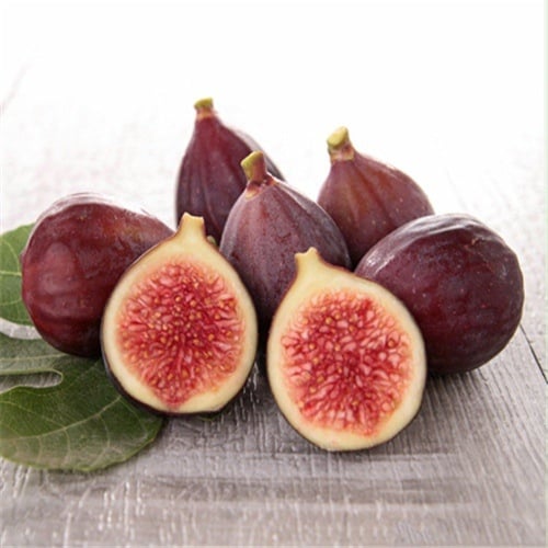 Boji Red négy évszakos fügefa-palánta, cserepben nevelhető, azonos évben terem, Guoxiang márka