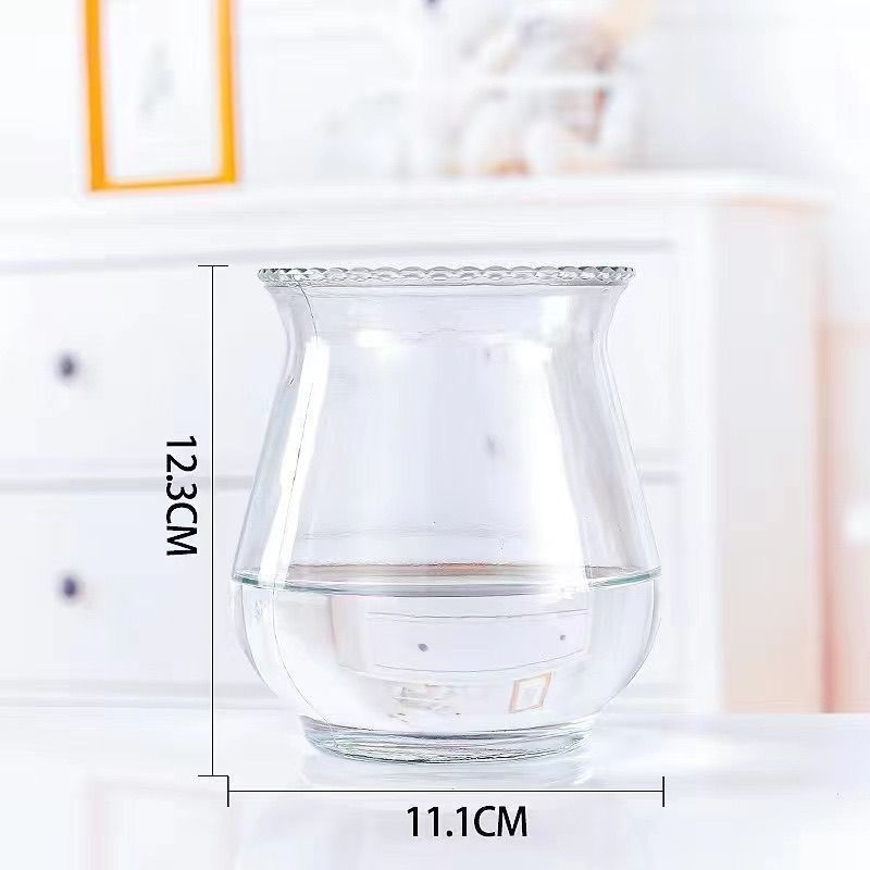 Guanyin бамбук (Lucky bamboo) – 4 бр. хидропонично растение с корени за вътрешно използване в дневната, Код на продукта H0114150525