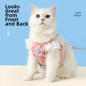 Kassi rindkerehamm ja jalutusrihm, polüestri nöör