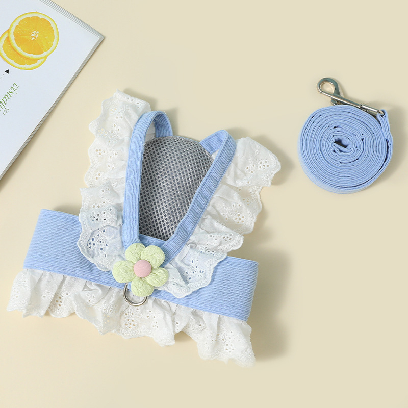 Kassi rindkerehamm ja jalutusrihm, polüestri nöör