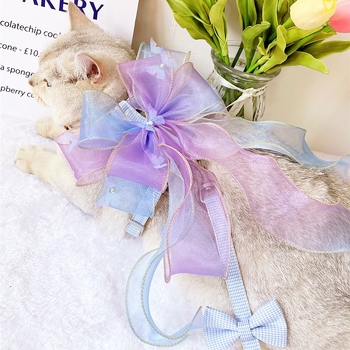 Kassi rinnavest ja jalutusnöör — polüester, reguleeritav, köie disain