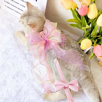 Kassi rinnavest ja jalutusnöör — polüester, reguleeritav, köie disain