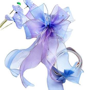 Kassi rinnavest ja jalutusnöör — polüester, reguleeritav, köie disain