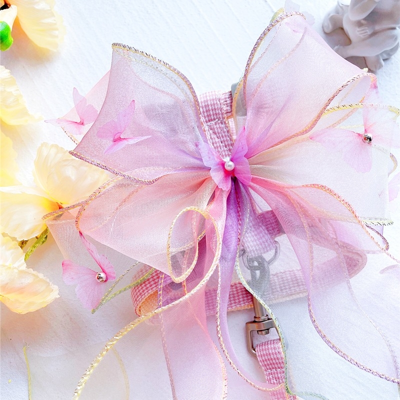 Kassi rinnavest ja jalutusnöör — polüester, reguleeritav, köie disain