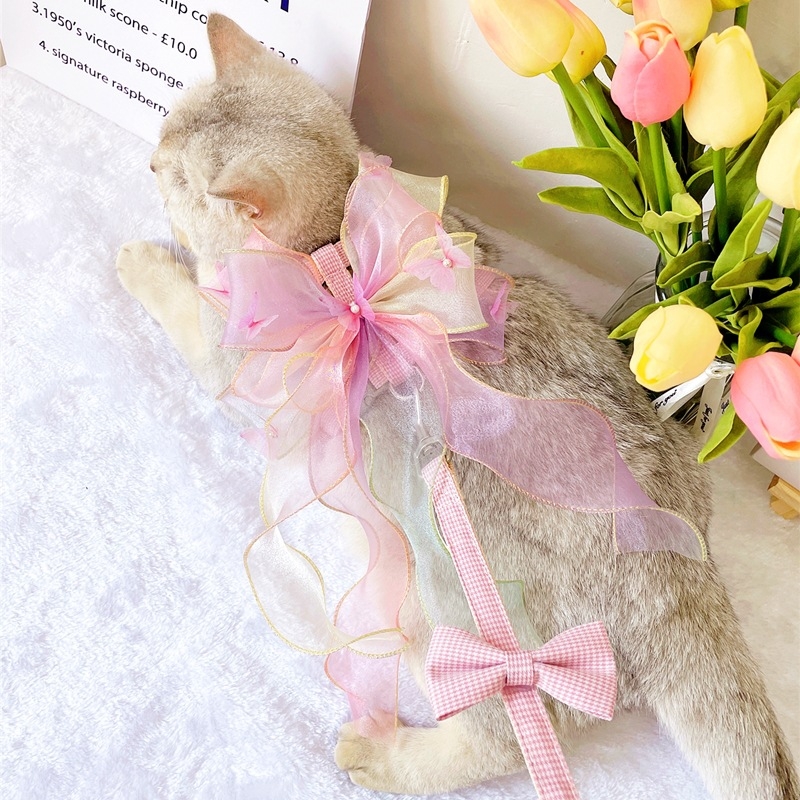 Kassi rinnavest ja jalutusnöör — polüester, reguleeritav, köie disain