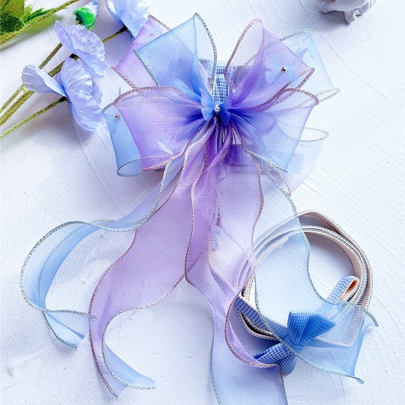 Kassi rinnavest ja jalutusnöör — polüester, reguleeritav, köie disain