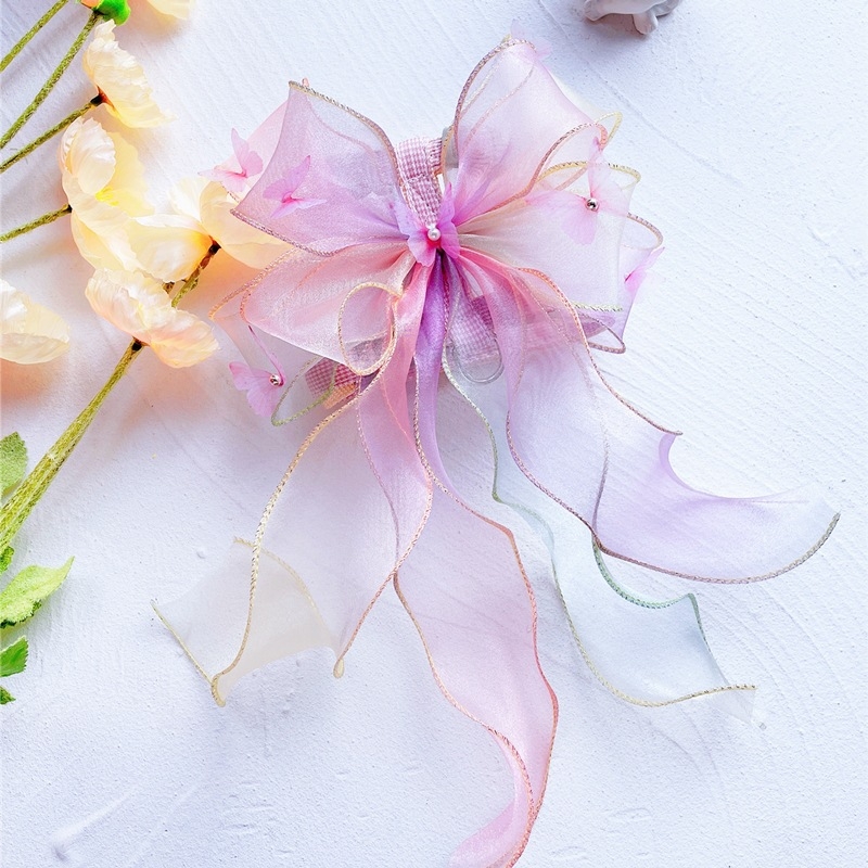 Kassi rinnavest ja jalutusnöör — polüester, reguleeritav, köie disain