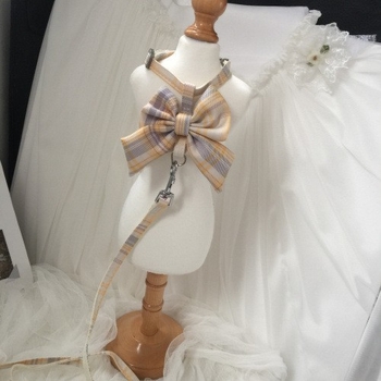 Mačji vučni pojas s prilagodljivim prsnim pojasom, proširivi povodac